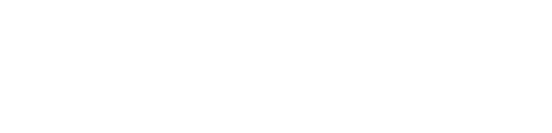 About 13 CFO Dive Logo